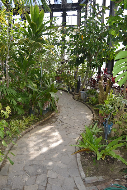 Greenhouse
