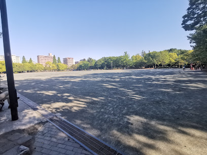 Multipurpose Ground