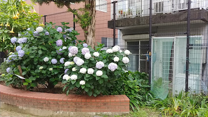 Nanotsu Park