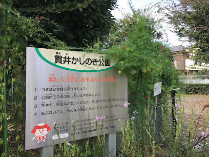 Nukuikashinoki Park