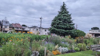 三鷹市 花と緑の広場