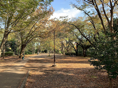 Triangle Lawn