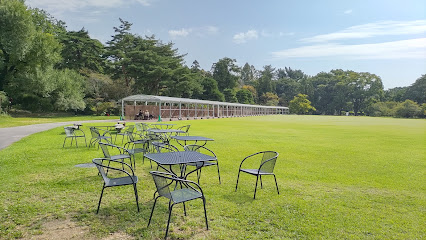 Central Lawn