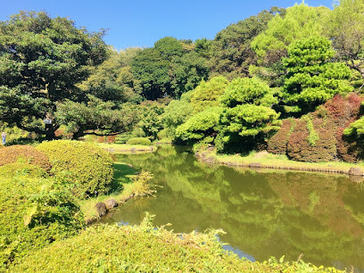 Pinetum