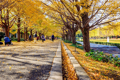 Ginkgo Promenade