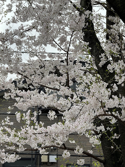 Umezato Central Park
