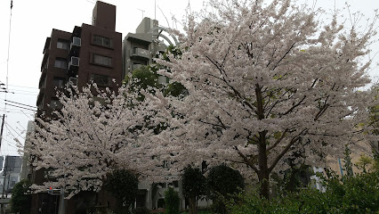 Minami Ōe Park