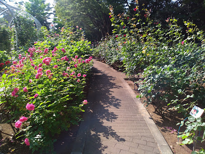 Suwada Park Rose Garden