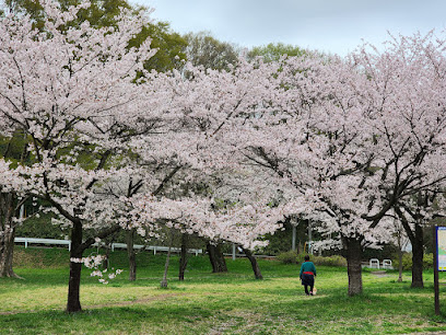 Sayama Nature Park