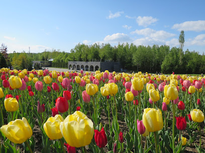 Country Garden