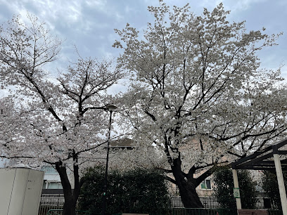 Sekine Culture Park
