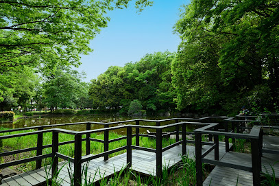 後谷公園 下の池