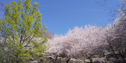 Ushita Sogo-Koen