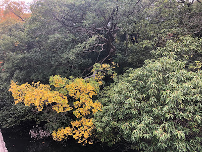 麻田御神山古墳