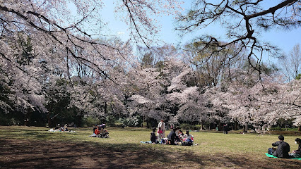 Komaba Park