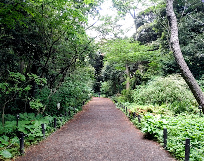 Robo Botanical Garden
