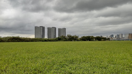 Tamagawa Rokugō Bridge Green Space
