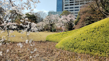 Koishikawa Korakuen Garden