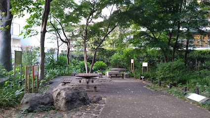 Nerima Ward Sekitei no Mori Green Space