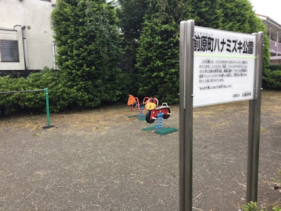 Maeharacho Hanamizuki Park