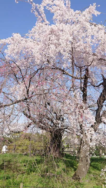 福岡城 御旗石跡
