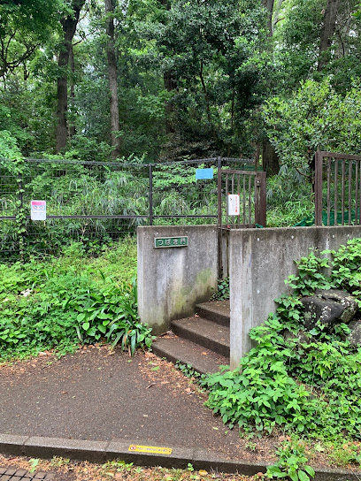 林試の森公園 つばき門