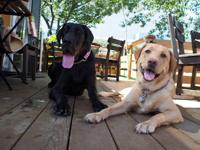 Ino-forest Dog Garden