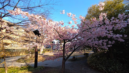Chuō-dōri Sakura-namiki Park