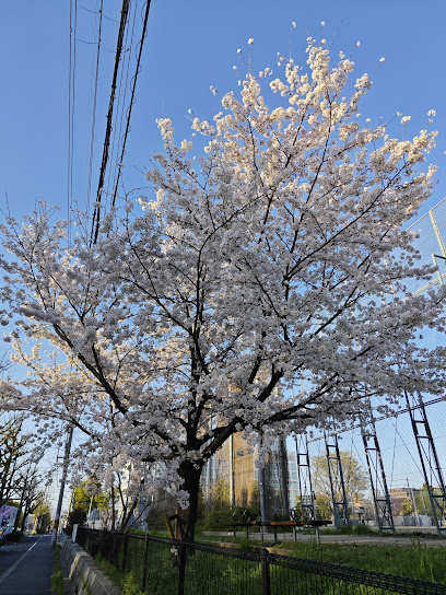 Hokotate Park