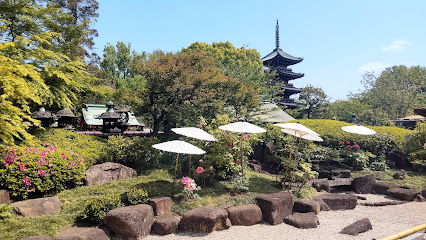 Ueno Toshogu Peony Garden