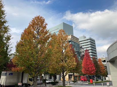 Hakozaki Park