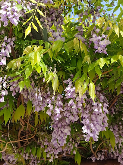 Shinmorihigashi Park