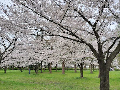 Toneri Park