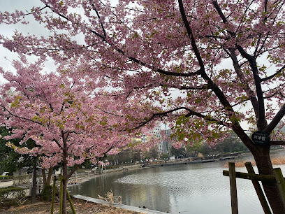 Ueno Park