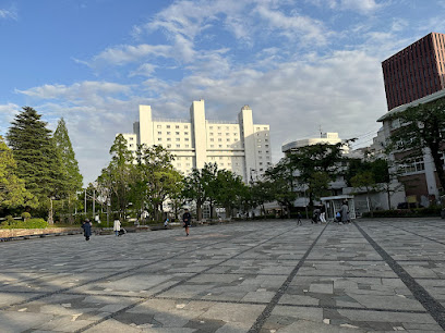 Bunkyo City Kyoiku-no-mori Park
