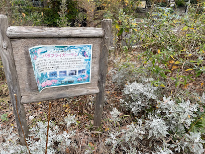 Butterfly Garden