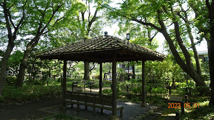 蘇峰公園 楷の木