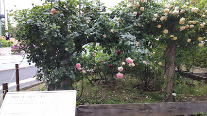 Rose Garden Shibuya