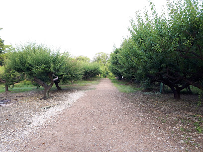 Aioiyama Ryokuchi Park