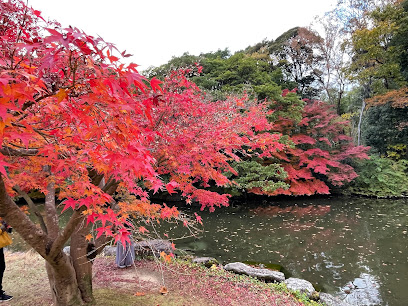 紅葉渓