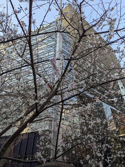 Kyobashi Daikongashi Hospitality Garden