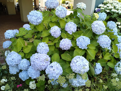 Yodogawa Park House Park