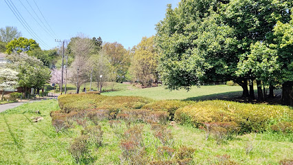 Mitaka Shiritsu Harappa Park