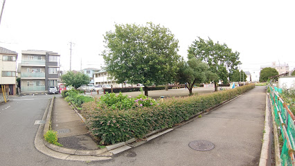 Donguri Park
