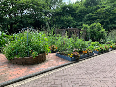 Potager Garden
