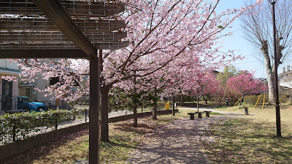 Kyonan Central Park