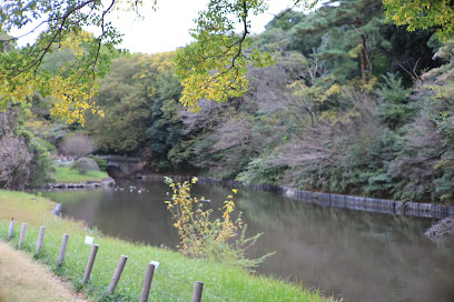 North Pond