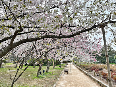 Maizuru Park Peony Garden