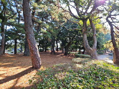 柳島