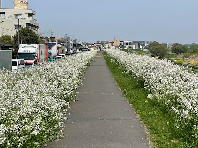 Tamagawa Cycling Course
